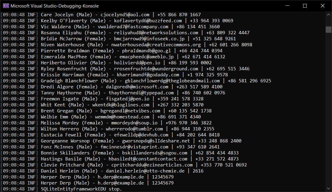 ![example output](/assets/images/articles/sqlite-ef-demo/example-output.png)